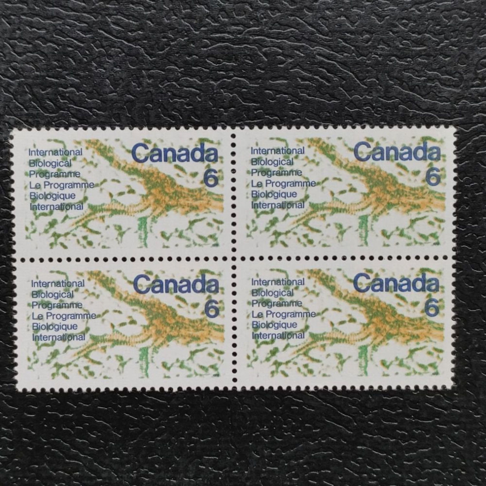 Block of four Canada, Mi.450 (SG 649), MNH Block of four Canada, Mi.450 (SG 649), MNH