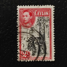 Známka Ceylon, SG386d (Mi. 230G)#
