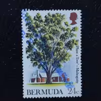 Známka Bermudy, SG296 (Mi. 290), 24 c