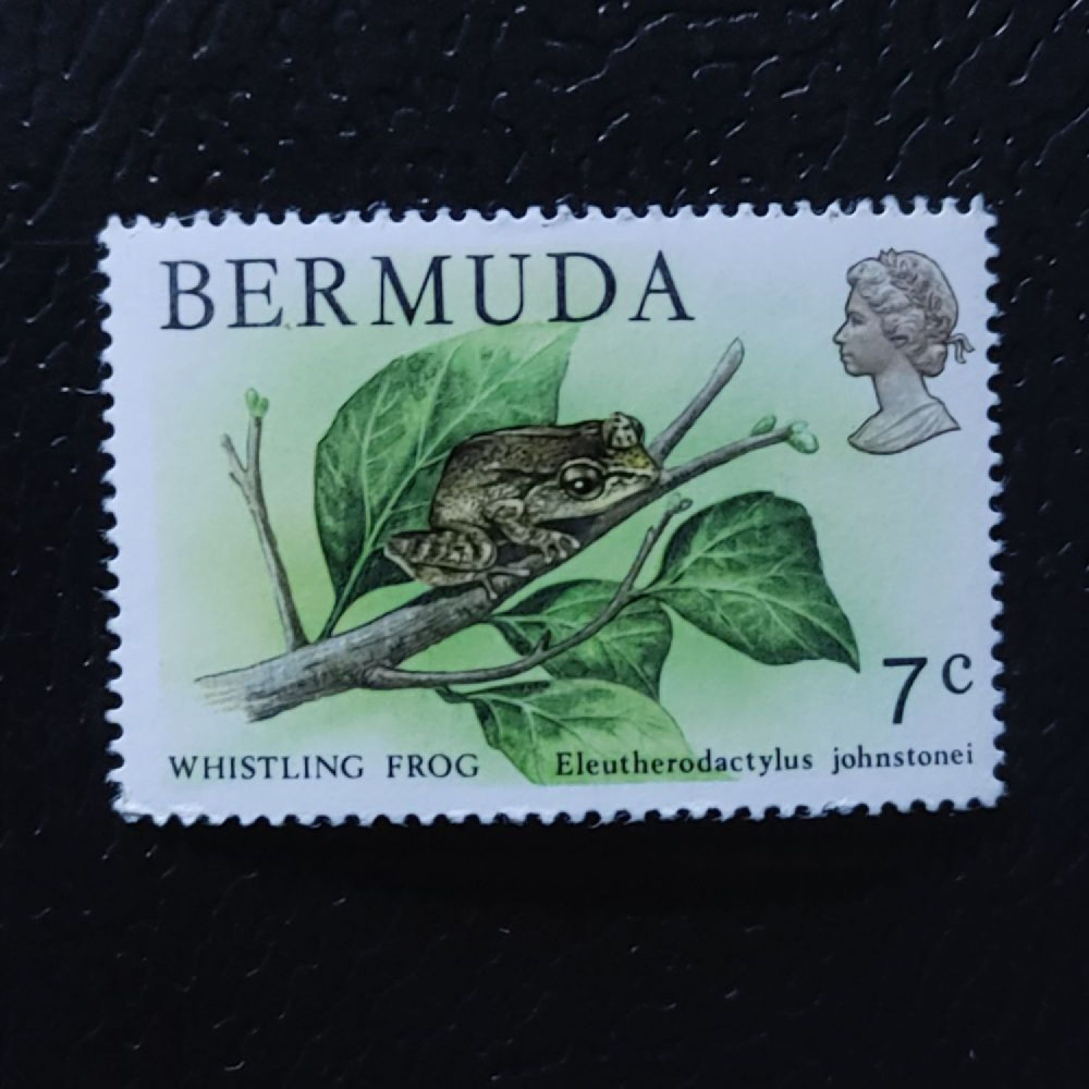 Selo Bermudas, SG390 (Mi. 355), MNH, 7 c