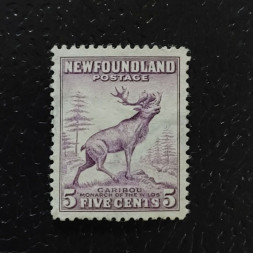 Sello Terranova, SG213 (Mi. 176A), MH, 5 ¢