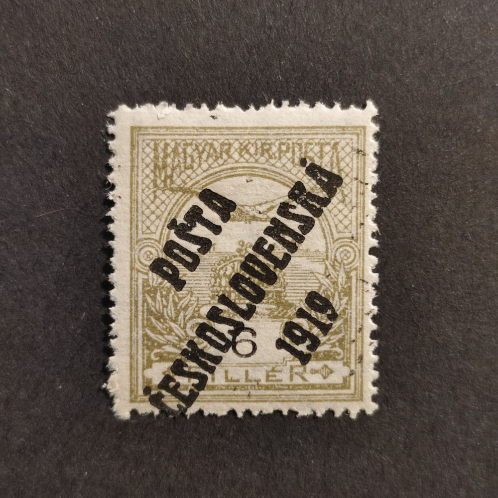 Selo Tchecoslováquia PČ 1919 , 6f, Mi.107, MH* 