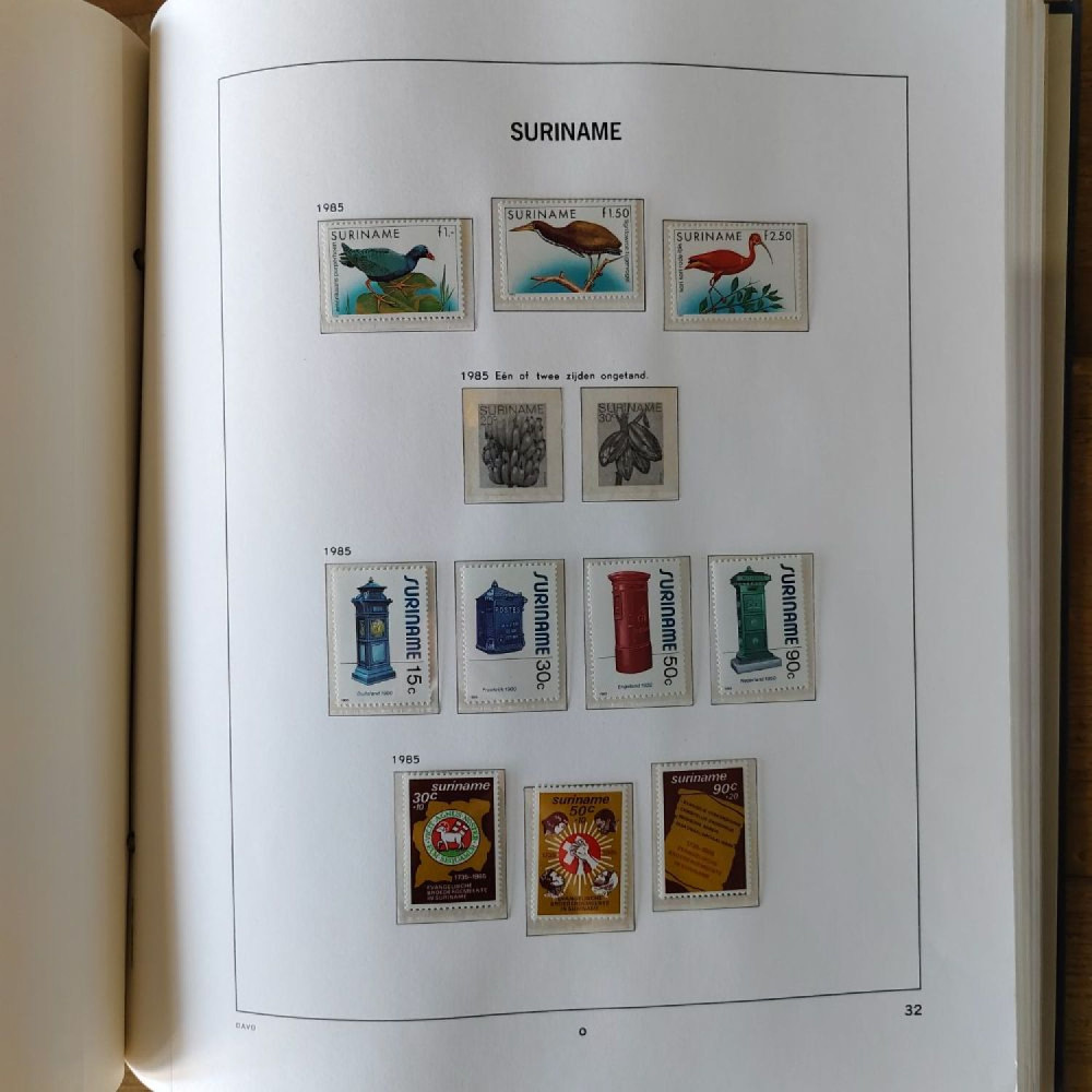 Álbum  31