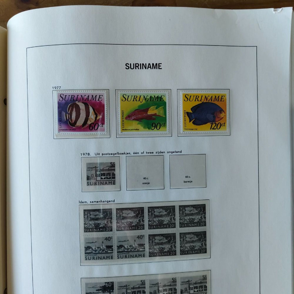 Álbum  35
