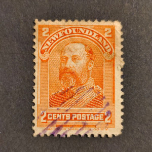 Známky Newfoundland, Mi.60 (SG 86)#