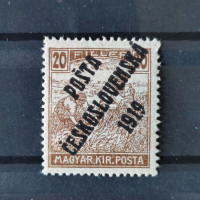 Známka ČSR PČ 1919 , 20f, Pof.107*, III. typ přetisku 