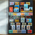 Album Suriname 11