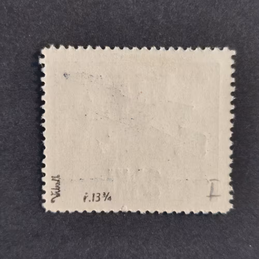 Selo Tchecoslováquia, Pof.L2A (Mi. 193B), MH, 24 Kč 1