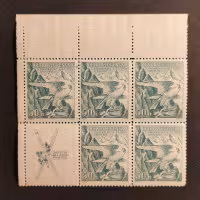 Block Tschechoslowakei, Pof.331 (Pof. 331)*, 50h