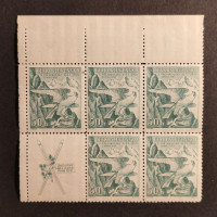 Víceblok ČSR, Pof.331*, 50h