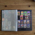 Album, Sammlung, # album-29233 12