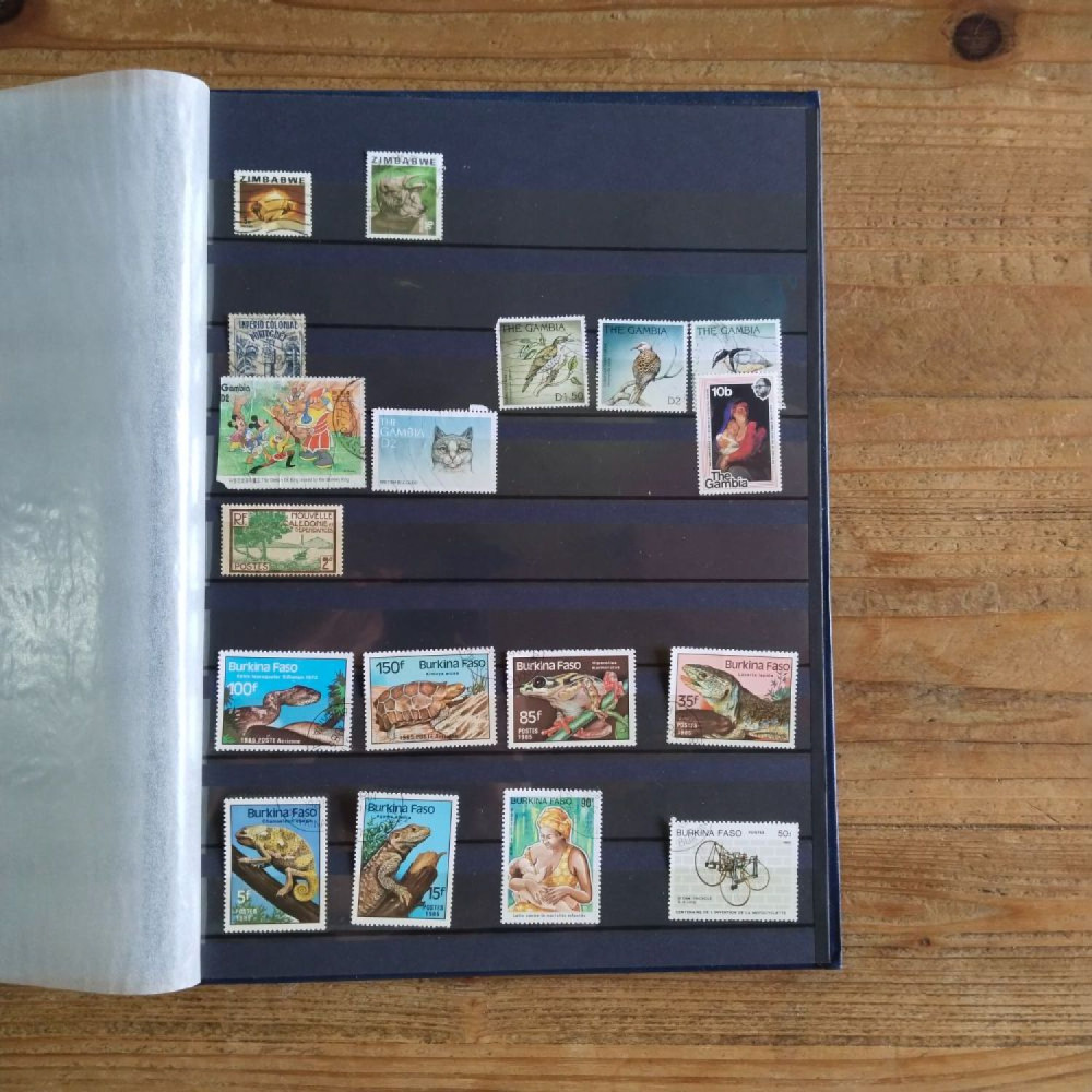 Album, Sammlung, # album-29233 13