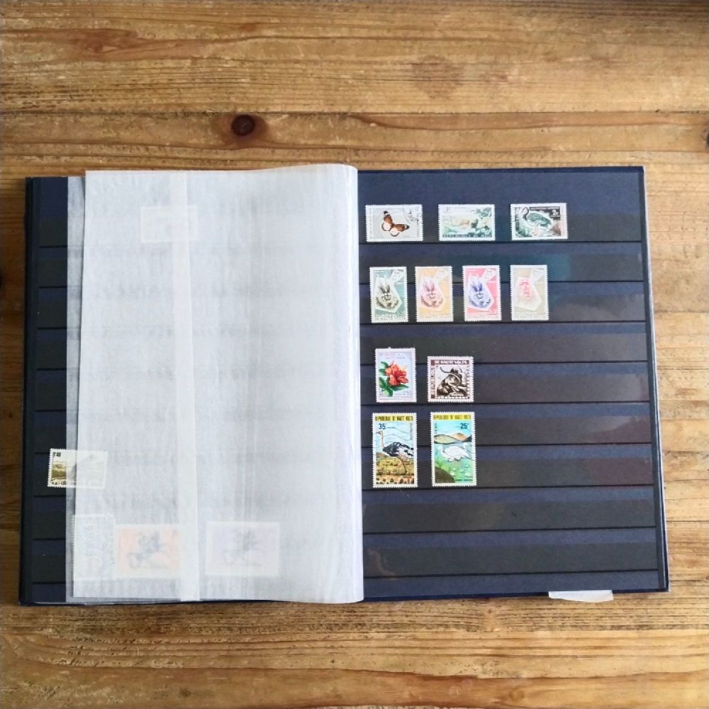 Album, Sammlung, # album-29233 4