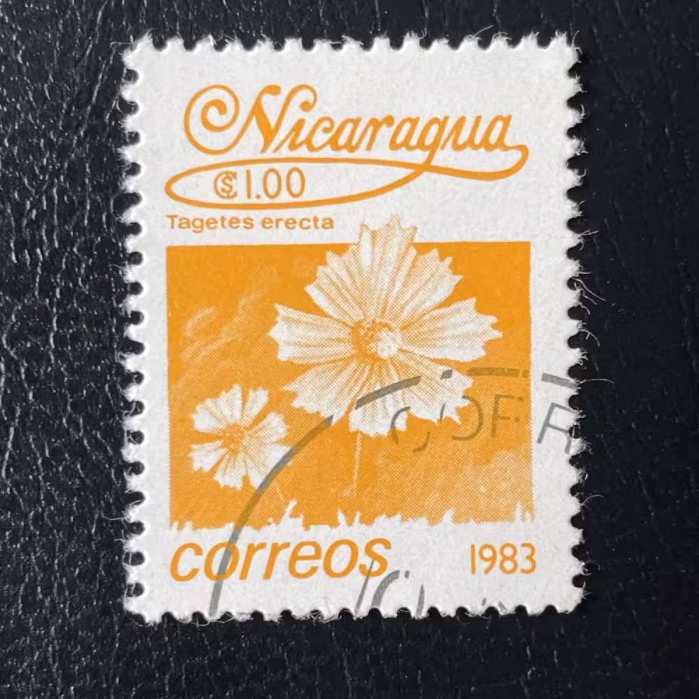 Stamp Nicaragua, Mi.2355, Used #