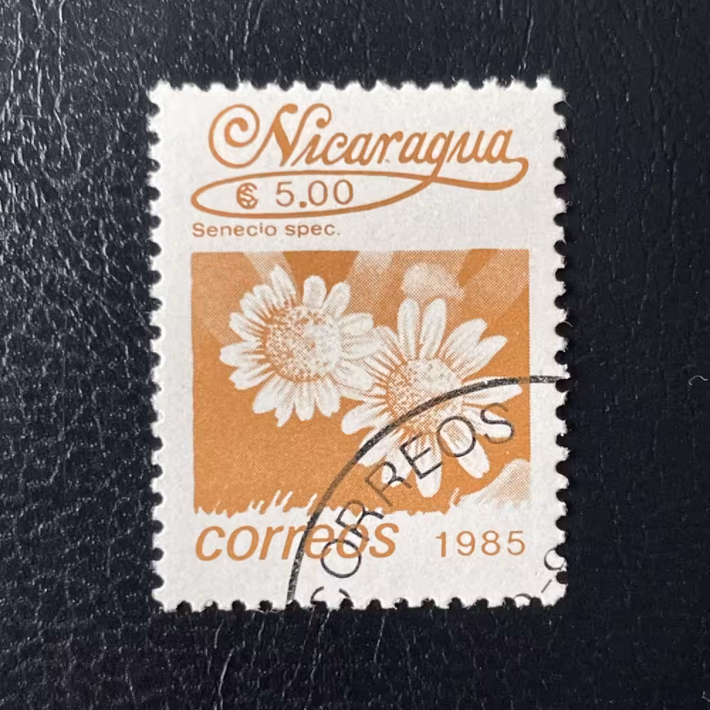 Briefmarke Nicarague, Mi.2658#