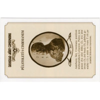 Známkový sešítek ČR, Pof.949**, 8xA