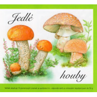 Známkový sešítek ČR, Pof.984/5**, 10xA