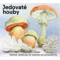 Známkový sešítek ČR, Pof.1071**, 10xB