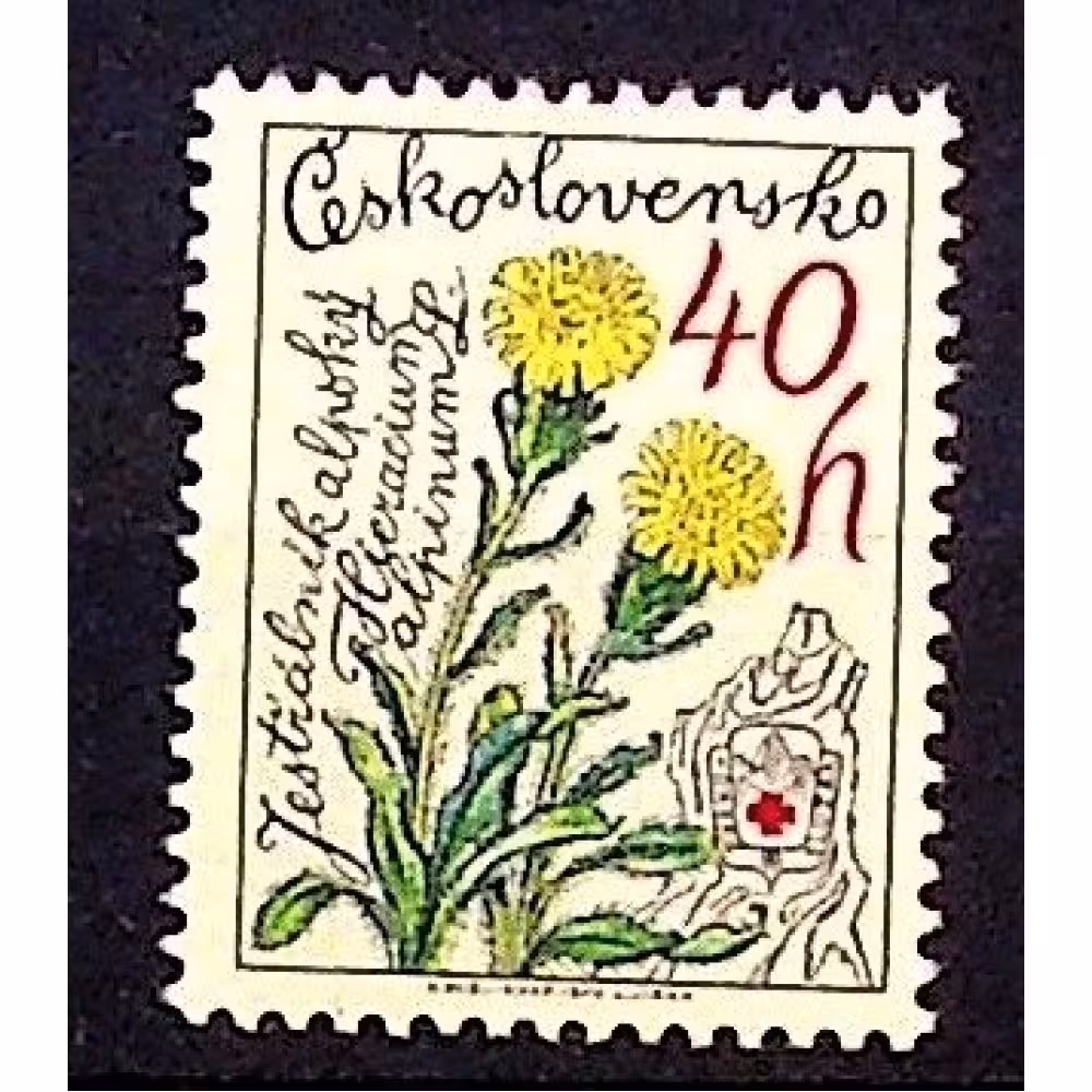 Selo Tchecoslováquia, 40h, Mi.2497, MNH** 