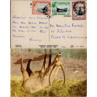 Celistvost Svazijsko#