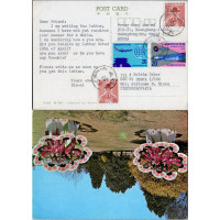 Cover Asia, Used #, South Korea