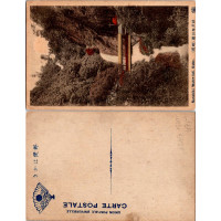 Cartão-postal , (*), Japão – Nunobiki Water-fall, Kobe