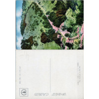 Cartão-postal , (*), Japão – Mt. Hiei