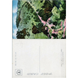 Pohlednice (*), Japonsko – Mt. Hiei