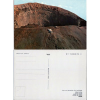 Postkarte (*)
