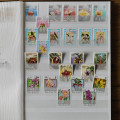 Album, Collection, USED, World Mix album-32276 5