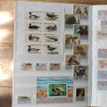 Album, Sbírka, #, mix fauna, velmi pěkné tematické album-32344 10