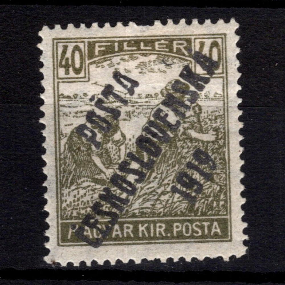Selo Tchecoslováquia, Pof.110 (Mi. 129), MH, 40f