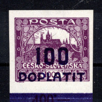 Selo Tchecoslováquia, Pof.DL27 (Mi. 40), MH, 100/1000h