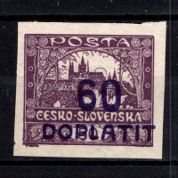 Selo Tchecoslováquia, Pof.DL20 (Mi. 37), MH, 60/50h