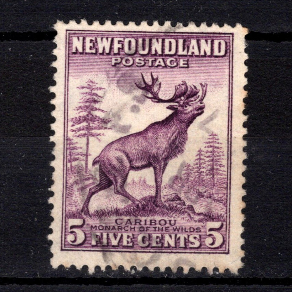 Sello Terranova, SG213 (Mi. 176A), Usado #, 5 ¢