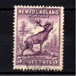 Známka Newfoundland, SG213 (Mi. 176A)#, 5 ¢