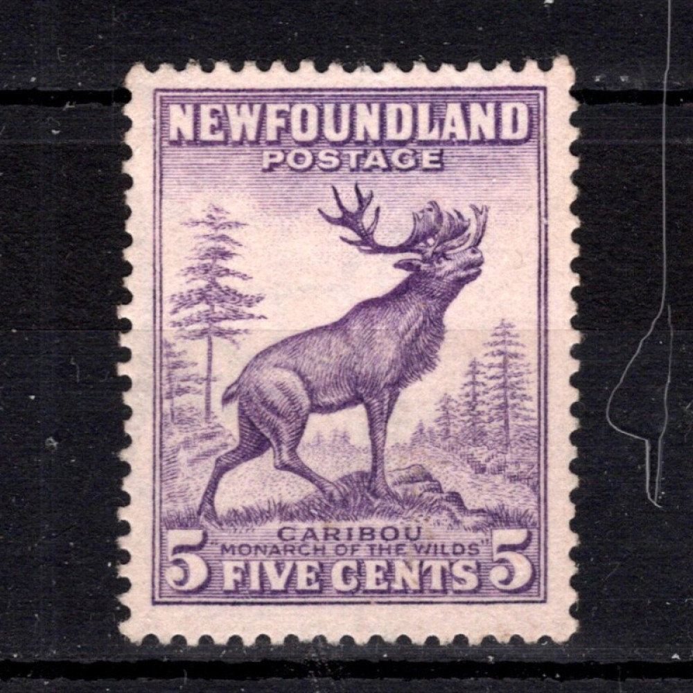 Známka Newfoundland, SG213 (Mi. 176A)(*), 5 ¢