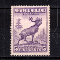 Známka Newfoundland, SG213 (Mi. 176A)(*), 5 ¢