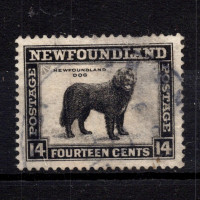 Známka Newfoundland, SG216 (Mi. 179A)#, 14 ¢