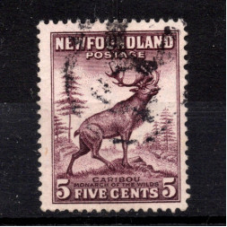 Sello Terranova, SG213 (Mi. 176A), Usado #, 5 ¢