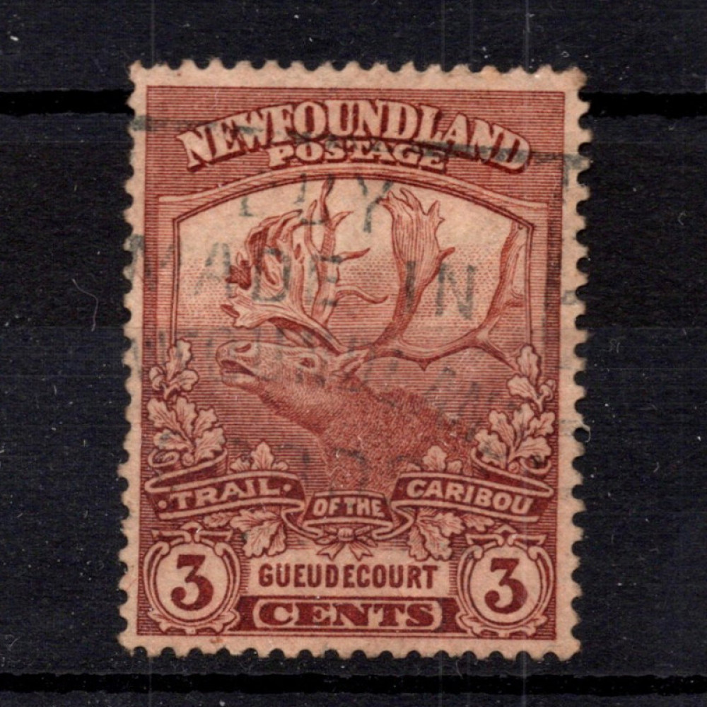 Briefmarke Newfoundland, SG132 (Mi. 98)#, 3 ¢