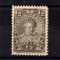 Selo Terra Nova, SG83 (Mi. 61), (*), 1/2 ¢