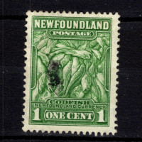 Známka Newfoundland, SG209 (Mi. 172A)#, 1 ¢
