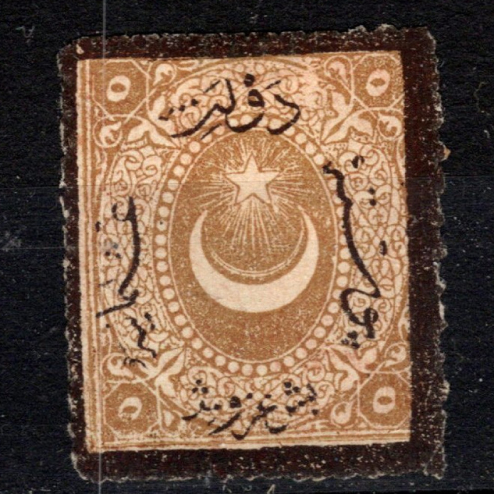 Selo Turquia, Mi.P14Bb (Scott J34), (*), 5 Ghr