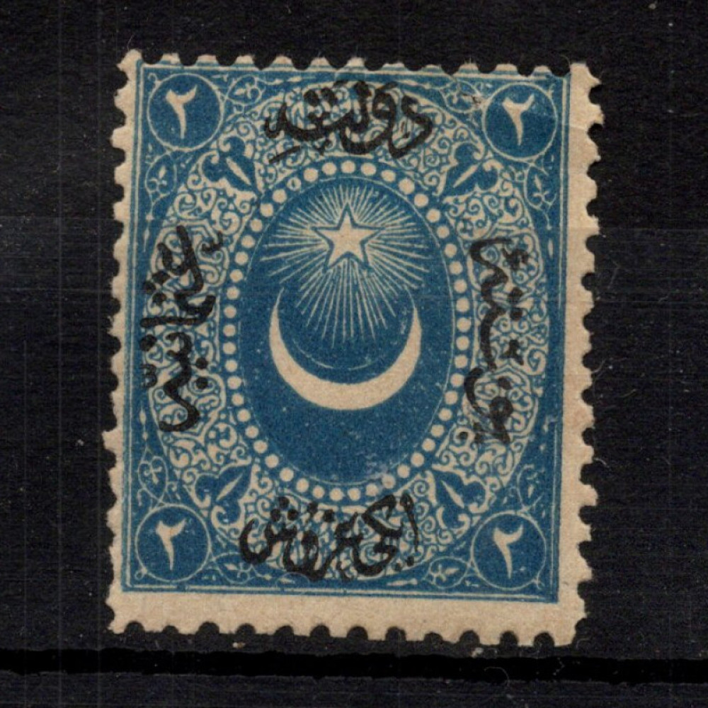 Známka Turecko, Mi.8 (SG 14)*, 2 Ghr