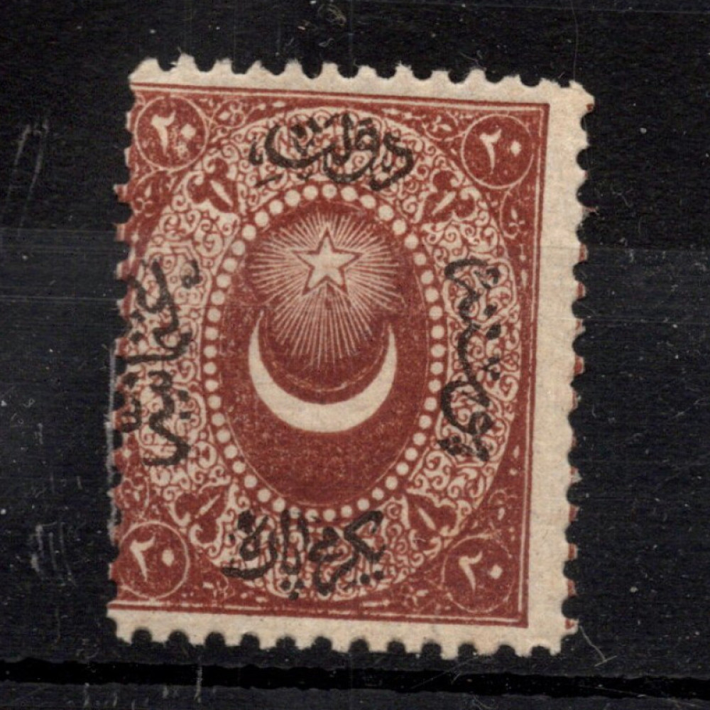 Stamp Turkey, Mi.P5 (SG D18), MNH, 20 Pa