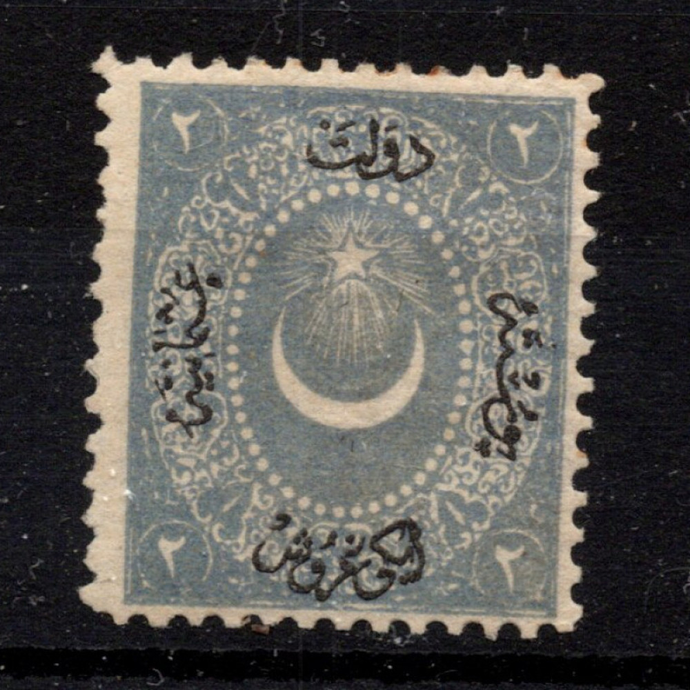 Známka Turecko, Mi.11 (Scott 17)*, 2 Ghr