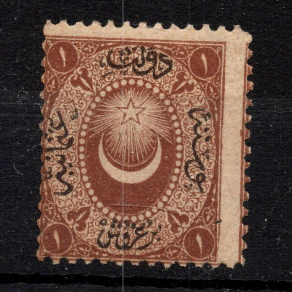 Stamp Turkey, Mi.P6 (SG D19), MNH, 1 Ghr
