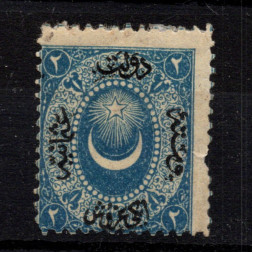 Známka Turecko, Mi.8 (SG 14)*, 2 Ghr
