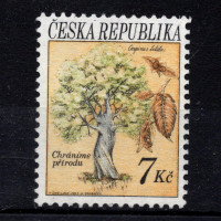 Známka ČR, Pof.24**, 7 Kč